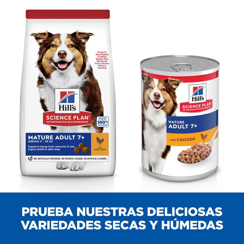 Hill's Science Plan Mature Adult Medium Pollo pienso para perros, , large image number null